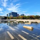 10월26일(일) 여의도한강공원행사준비물안내 이미지