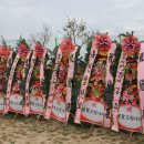 신우 태양광발전소 이미지