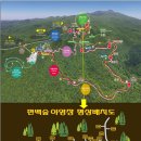 서귀포자연휴양림 이미지