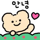 캄그루밍 이미지