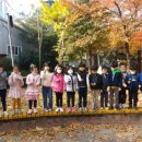 서룡초등학교(병설) 이미지