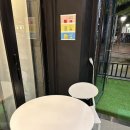 달브로 이미지