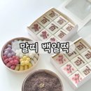 리오브케이크 | 검단 계양 청라 송도 26년 말띠백일떡 말띠 백설기 말띠 상차림떡 말띠 해 백일상 주문후기 리오브케이크