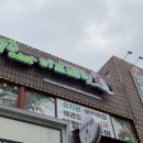 리프패럿앵무새카페