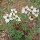 한길자동차병원 이미지