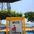 삼천포대교공원 음악분수대 | 경남 사천 삼천포 묵수국 절정&amp; 제5회 전국청년 트롯 가요제