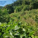 청덕면낙진보건진료소 이미지