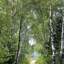 어제는 2025년 5월 30일 이미지