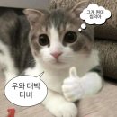 이난이 이미지