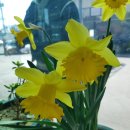 신비자동차공업사 이미지