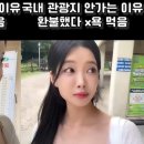 모노 티스토리
