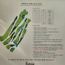 에버리오골프클럽 | 대구근교 파3 골프장 드라이버 티샷가능파3 에버리오 골프클럽