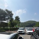 34개월 아이와 에버랜드 1탄, 사파리월드·로스트밸리 후기