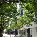 홍산목장2 이미지