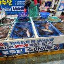 거제시장 | 거제 고현시장 맛집｜수아수산 회 포장 후기 + 옛날통닭 닭강정