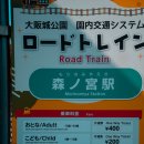 29170-5-A-04 | [오사카 여행 04] 오사카성 &amp; 도톤보리 가챠샵 투어 (하루카스 300/야경)