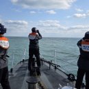 완도22호 이미지