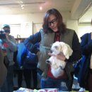 세븐일레븐 창원서상에이스점 | 회기 아웃백(망함)&amp;명동 "고르드" 후기