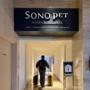 펫(PET)과 함께 | 소노펫클럽앤리조트 골드 Pet Club 파크뷰 2박 3일 후기(feat. 대가족여행)