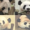 태생파크 이미지