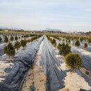 미림농장 이미지