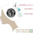 두피야놀자