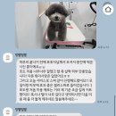 멍빨털빨 이미지