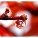 아름다운사람들 이미지