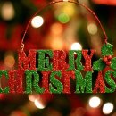 대박양꼬치 이미지