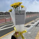 미선이의 2024년 7월