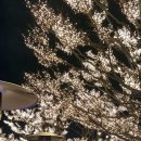 그랜드하얏트서울 이미지