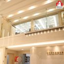 더사랑 동물병원 이미지