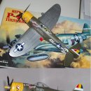 P-47D 썬더볼트 이미지