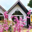 별담스테이 이미지