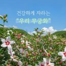 무궁