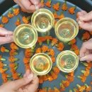 꽃차 소믈리에로의 초대 이미지