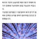 향누리 네이버블로그
