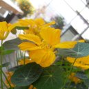 산정농원 이미지