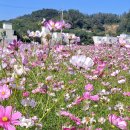 봉일천4리 이미지