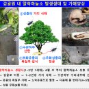 (주)하늘소