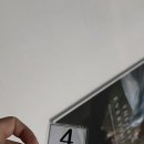 순미네대구반고개무침회서귀포 | 프릳츠 성산점,쇠소깍,다정이네김밥,답다니수국밭,숙소 온담,타무라멘,순미네대구반고개무침회,사계해변