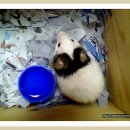 명복농장 이미지