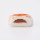 시바(SHIBA)