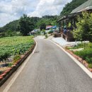 더쉼펜션 | 친절한 사장님 덕분에 더 행복했던 충주 펜션 여기,쉼 후기