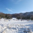 뺨치는 국내 겨울여행 추천장소 아이와 함께,반려견 동반 데이트하기 좋은 대관령 하늘목장 다녀온 후기;)