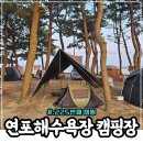태안 반려견 동반 캠핑장 연포해수욕장번영회 제1야영장 명당