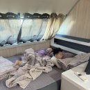 화랑마트 | 안산 가볼 만한 곳 놀거리 추천 화랑유원지 캠핑장 카라반 후기