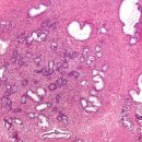 장산닥터남비뇨의학과의원 이미지