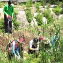 부영공원 이미지