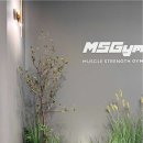 MSGym 이미지